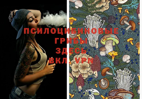мескалин Алексин
