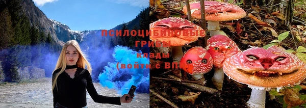 мескалин Алексин