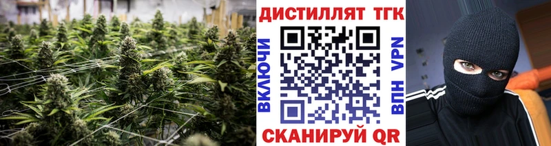 где можно купить   Краснодар  KRAKEN зеркало  Дистиллят ТГК THC oil 